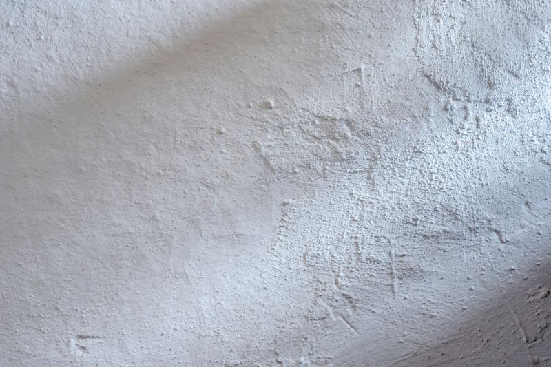 Home Limewashing in Longmont, CO