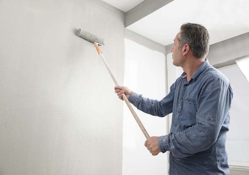 Cladding Painting in Longmont, CO